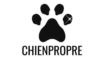 Chien Propre